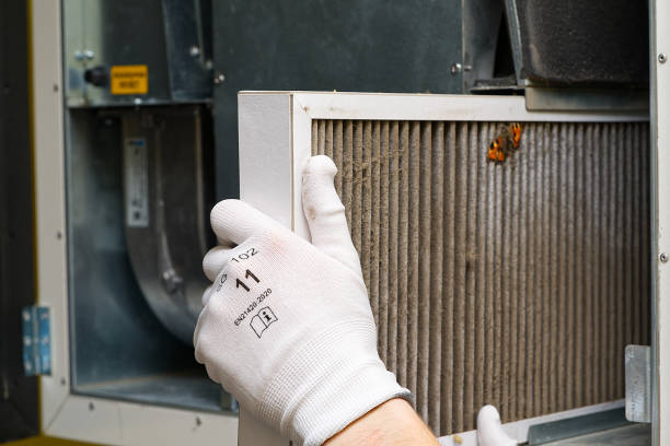 Best Professional Duct Cleaning Services  in Westport, IN
