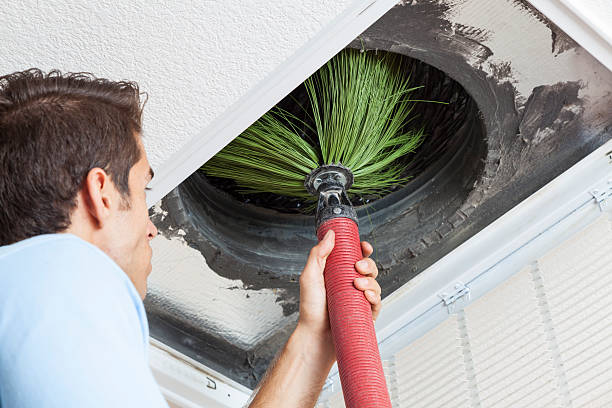 Best Dryer Vent Cleaning Services  in Westport, IN
